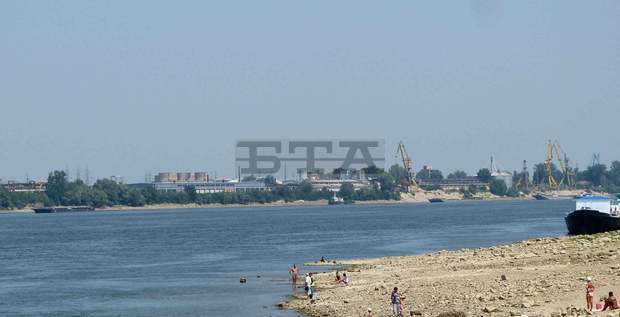 Еколози са установили ново поколение есeтрови риби в Дунав Еколози са установили ново поколение есeтрови риби в Дунав
