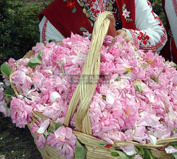 Започва строителството на новия Музей на розата в Казанлък