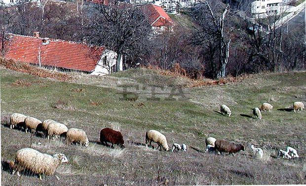 Седем младежи от странатапет дни ще живеят в габровското село Харачери