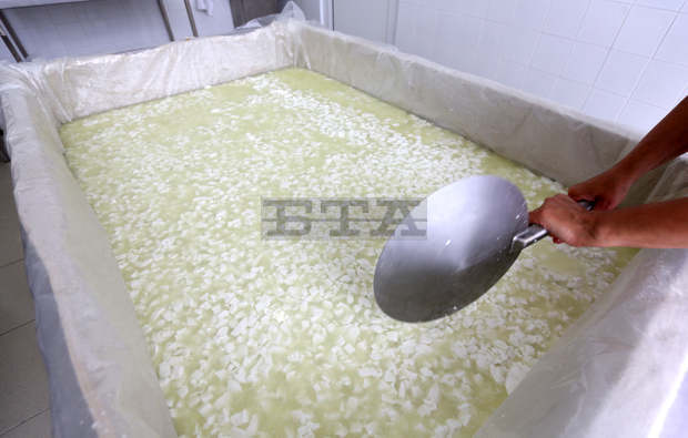 Демонстрационен център в с. Васил Левски, Карловско, ще учи как се преработва биволското и овче мляко