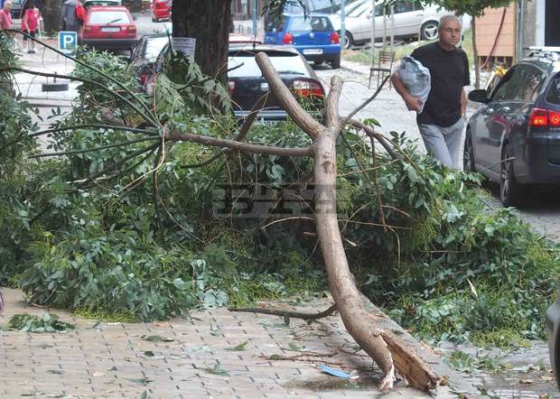 Доброволци от "Пловдив 112" помагат в отстраняването на пораженията след пороя