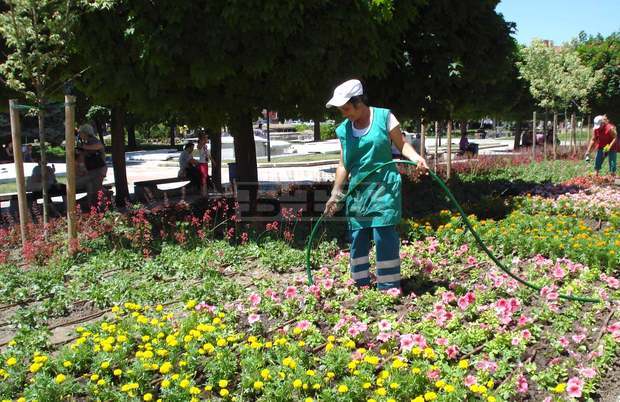 Над 13 хиляди летни цветя засадиха на обновения централен площад "Възраждане" в Плевен      