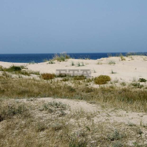 Морското курортно селище Шкорпиловци ще е с нова крайбрежна алея и паркинги Морското курортно селище Шкорпиловци ще е с нова крайбрежна алея и паркинги