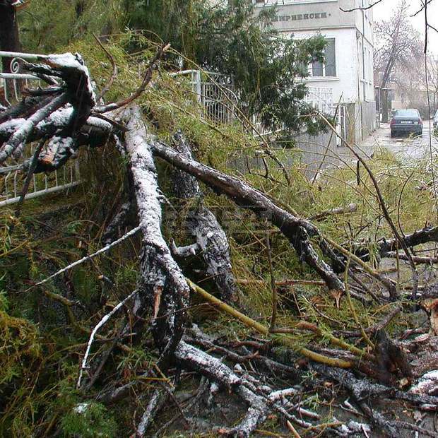 В Добрич духа вятър със скорост 16 метра в секунда В Добрич духа вятър със скорост 16 метра в секунда