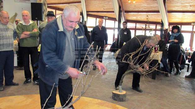 Нужна е държавна политика за развитие на лозарството, смятат специалисти 