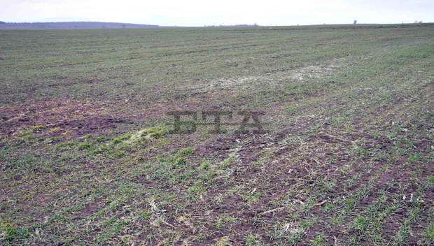 Падналите дъждове за кратко ще преустановят пролетната сеитба в Добричкия регион Падналите дъждове за кратко ще преустановят пролетната сеитба в Добричкия регион