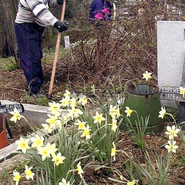 В Ловешко 37 души с намалена трудоспособност започват работа В Ловешко 37 души с намалена трудоспособност започват работа