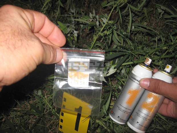 Задържани са двама мъже от Силистренско за производство и притежаване на наркотици 