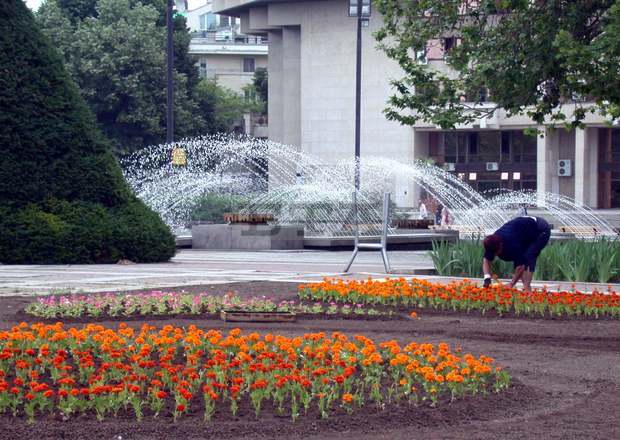 Общината в Русе ще засажда нови цветя  в градските  градини 