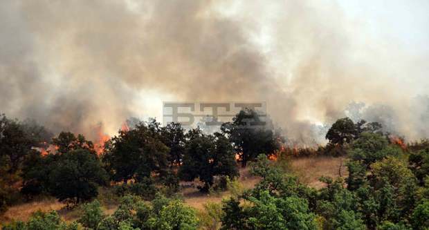 Пожар е избухнал в гора край хасковското село Брягово