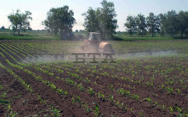 Продължава сеитбата  на пролетни култури  в област Търговище