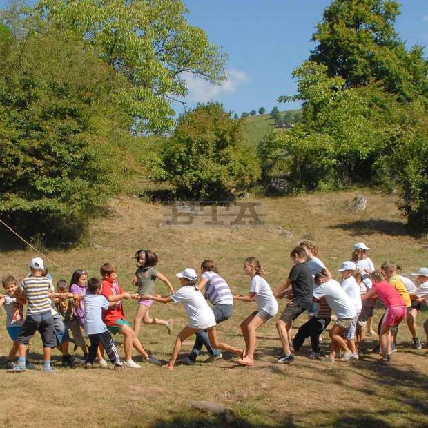 Сдружение откри  "Училище  в гората" 