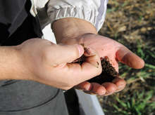 Селскостопанска гимназия от Силистренско ще произвежда биохумус