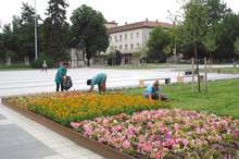 Приютът за бездомни кучета край Плевен е почистен и обновен