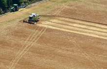 С по-високи добиви от миналогодишните започна жътвата на ечемика в област Разград