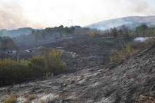 За ден огнеборците в Монтанско са гасили 16 пожара на открито, унищожени са около 10 000 декара треви