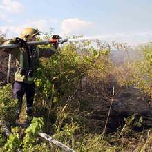 Пожарникари са спасили 100 декара овощна градина край сливенското село Гавраилово