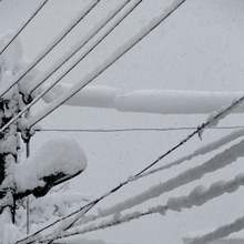 Ситуацията с електрозахранването в Западна България е усложнена от обилния снеговалеж, силния вятър, обледявания на проводници и паднали дървета