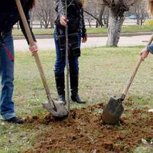 Община Русе отбеляза "Седмицата на гората"