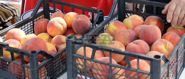 Производители на праскови заплашиха да блокират пътя Добрич-Силистра