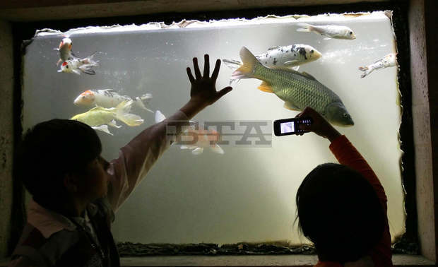 Безплатни туристически обиколки с професионален екскурзовод се организират от днес във Варна