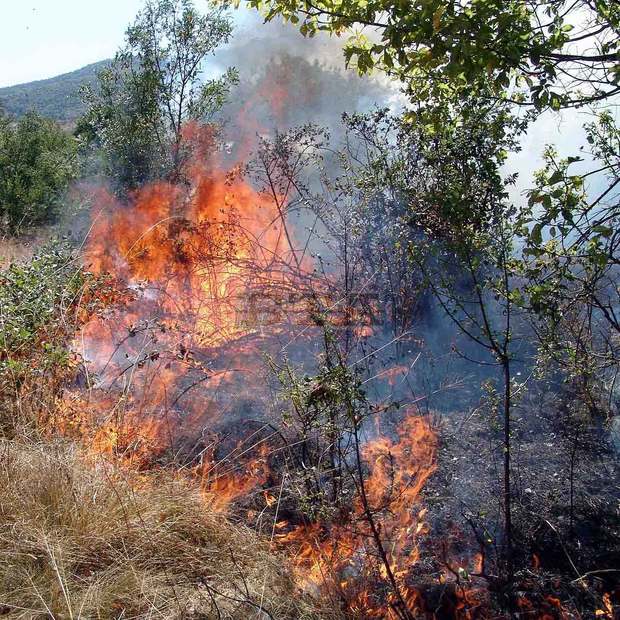 Пожар гори край кочериновското село Фролош