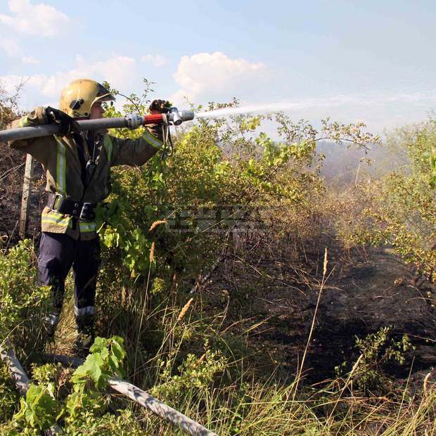 Около 750 декара лозя са  изгорели при пожар край  село Драгоево в Шуменско 