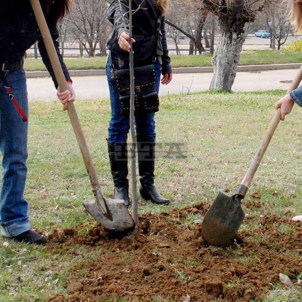 Община Русе отбеляза "Седмицата на гората" Община Русе отбеляза "Седмицата на гората"
