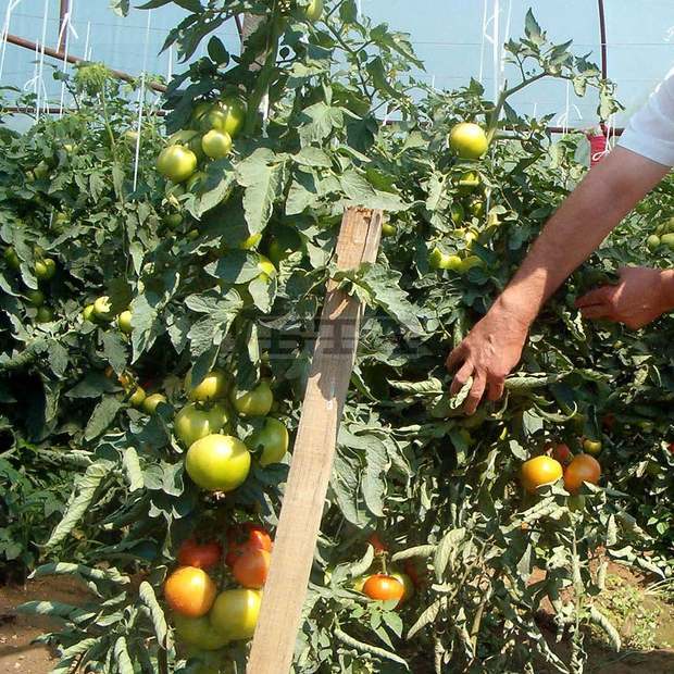 Националната служба за съвети в земеделието организира изнесени приемни в Ловешка област