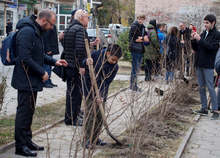 В Пловдив деца от различни етоноси засадиха етно градина в деня на толерантността