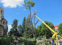 В кризисния щаб на Плевен работят по 450 сигнала за отстраняване на щети от бурята