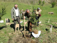 Генералните директори по горско стопанствона държавите членки от  Европейския съюз участваха в залесяване край Рила
