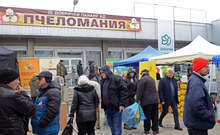 Мартенският студ може да е гибелен за пчелите, ако продължи повече от няколко дни, смятат пчелари