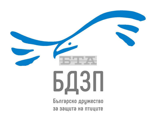 Орлето Александрия, родено в добруджанско село, продължава да пътешества в Африка