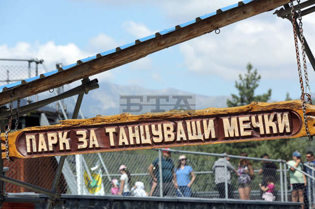 Силен туристически интерес към мечешкия парк и други обекти в общината отчитат в Белица