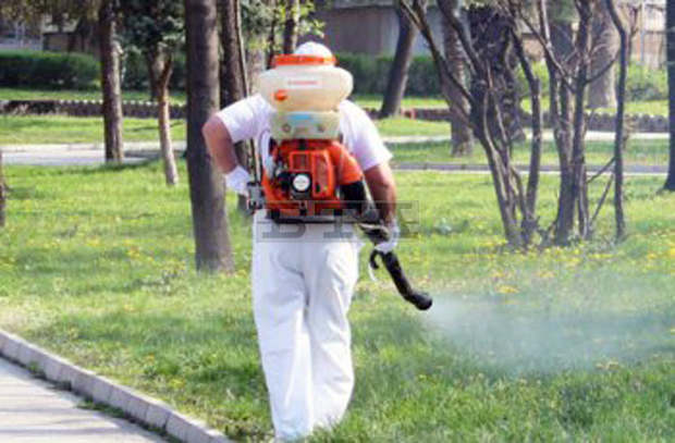 В Берковица пръскат срещу кърлежи и бълхи