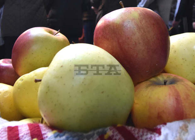 Хранителните добавки и безопасността на продуктите ще дискутират експерти на конференция във Варна Хранителните добавки и безопасността на продуктите ще дискутират експерти на конференция във Варна