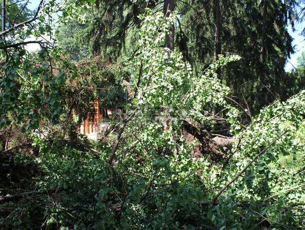 В Плевен се отменя бедственото положение, има нужда от техника