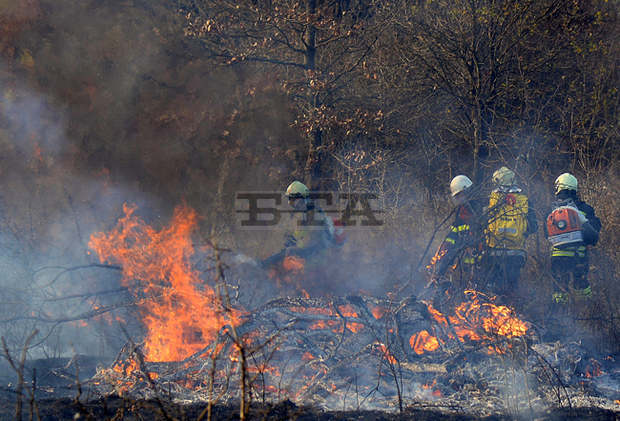Огнеборци са гасили близо 20 пожара за два дни в Русенско