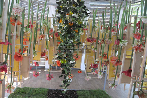 Над 90 са участниците в изложението "Флора" в Бургас