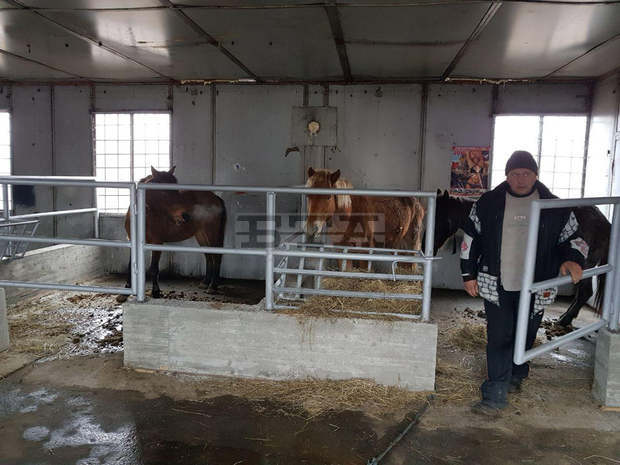 Общината в Дупница ще продава прибрани в приюта безстопанствени животни Общината в Дупница ще продава прибрани в приюта безстопанствени животни