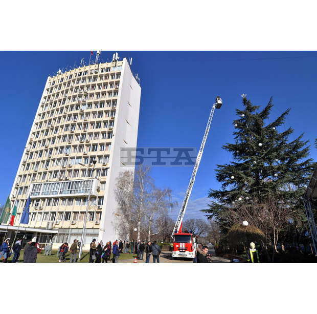 "Дървото на надеждата" в Димитровград е най-високата коледна елха в страната