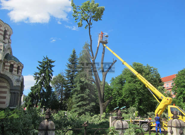 В кризисния щаб на Плевен работят по 450 сигнала за отстраняване на щети от бурята