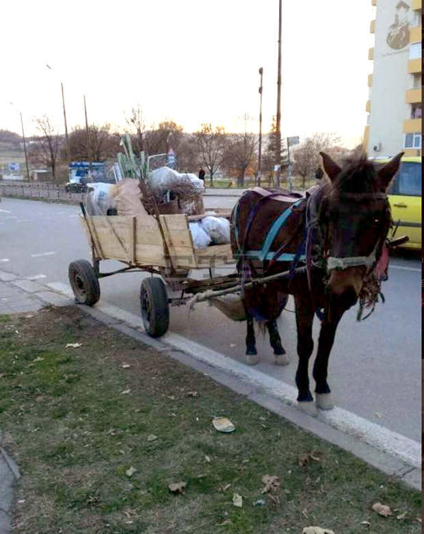 Забрана за движение на пътни превозни средства с животинска тяга в София предстои да одобри Столичният общински съвет Забрана за движение на пътни превозни средства с животинска тяга в София предстои да одобри Столичният общински съвет