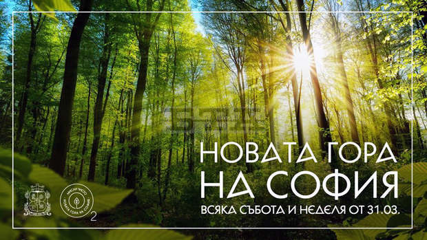 Вторият залесителен сезон на Новата гора на София стартира днес Вторият залесителен сезон на Новата гора на София стартира днес