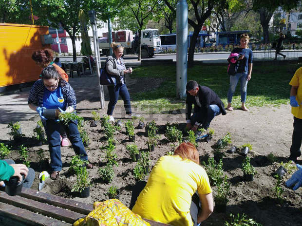 Ученици засаждаха цветя в парка на пл. "Кочо Честименски" в Пловдив Ученици засаждаха цветя в парка на пл. "Кочо Честименски" в Пловдив