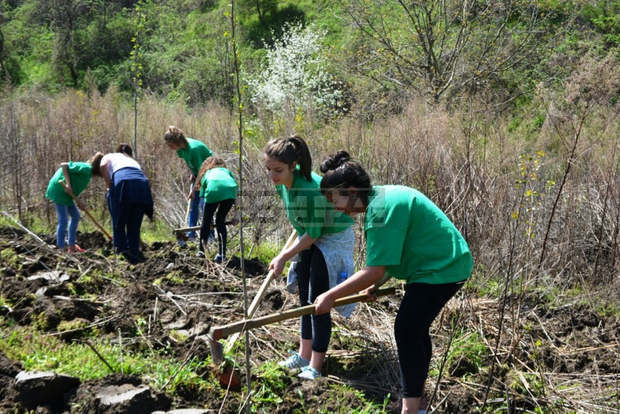 Ученици от Симитли станаха лесовъди за един ден