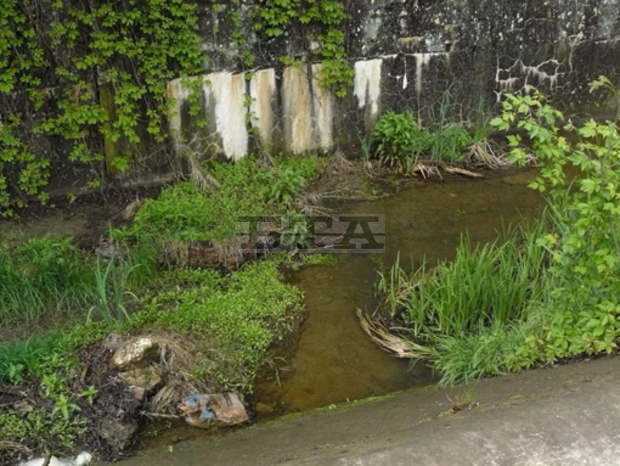 Заливането на алеи в плевенския парк "Кайлъка" ще се предотврати с ремонт на язовира "Тотлебенов вал" Заливането на алеи в плевенския парк "Кайлъка" ще се предотврати с ремонт на язовира "Тотлебенов вал"