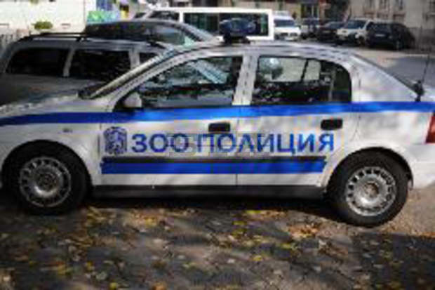 Зоополицаи разследват случаи на отровени животни във Враца Зоополицаи разследват случаи на отровени животни във Враца