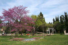 Гражданите да ограничат посещенията в парк "Аязмото", предупреждават от Община Стара Загора